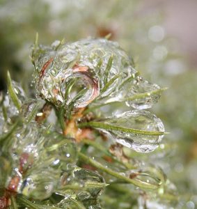 A World of Ice Image